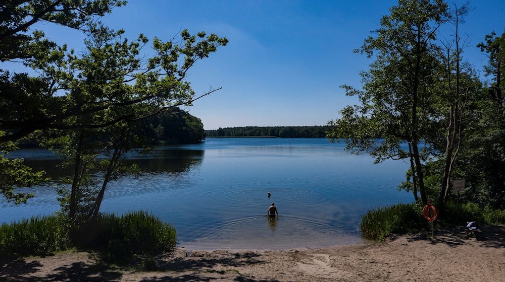 Menschen genießen das schöne Wetter am Grabowsee unweit von Oranienburg. / Foto: Paul Zinken/dpa-Zentalbild/dpa/Archivbild