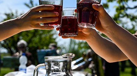 Gäste stoßen unter Obstbäumen beim 145. Baumblütenfest mit Obstwein an. / Foto: Jens Kalaene/dpa