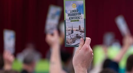 Bei der Landesdelegiertenkonferenz der Grünen wählen die Delegierten über Tagesordnungspunkte. / Foto: Christophe Gateau/dpa/Symbolbild