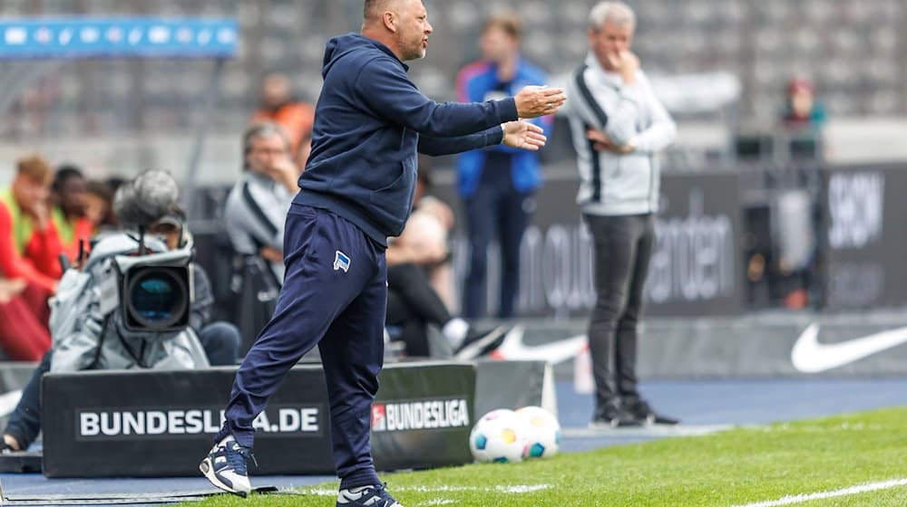 Trainer Pal Dardai von Hertha BSC steht gestikulierend am Spielfeldrand. / Foto: Andreas Gora/dpa