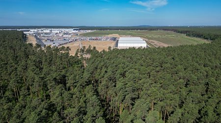 Dichter Wald steht am östlichen Teil des Werksgeländes der Tesla Gigafactory (Aufnahme mit einer Drohne). / Foto: Soeren Stache/dpa
