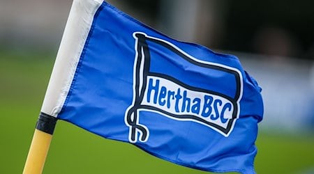 Wappen von Hertha BSC. / Foto: Andreas Gora/dpa