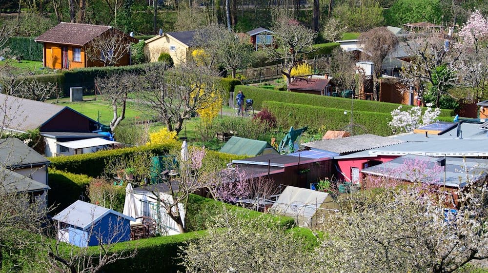 Ein Teil der Kleingartenanlage an der Nuthe. / Foto: Soeren Stache/dpa-Zentralbild/dpa