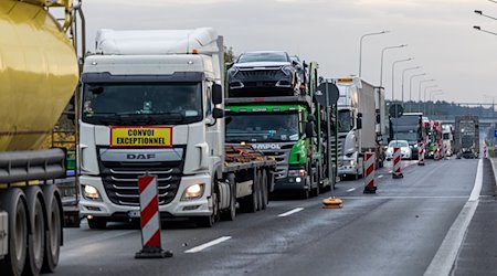 Lkw stauen sich an der Autobahn A15, an der Grenze zwischen Polen und Deutschland. / Foto: Frank Hammerschmidt/dpa