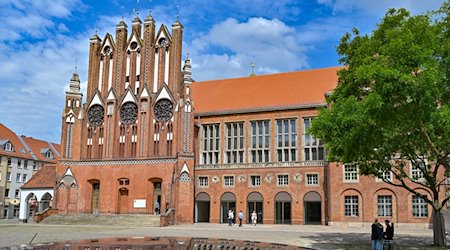 Das Rathaus der Stadt Frankfurt (Oder). / Foto: Patrick Pleul/dpa