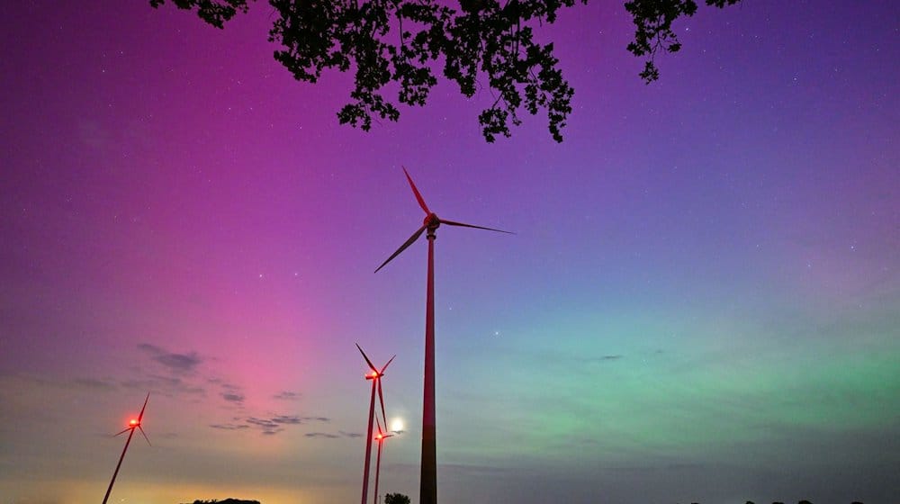 Hellgrün und violett-rötlich leuchten Polarlichter am Nachthimmel im Landkreis Oder-Spree in Ostbrandenburg. / Foto: Patrick Pleul/dpa