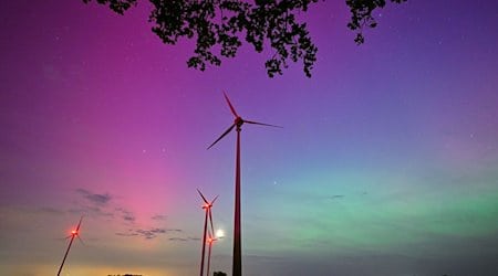 Hellgrün und violett-rötlich leuchten Polarlichter am Nachthimmel im Landkreis Oder-Spree in Ostbrandenburg. / Foto: Patrick Pleul/dpa