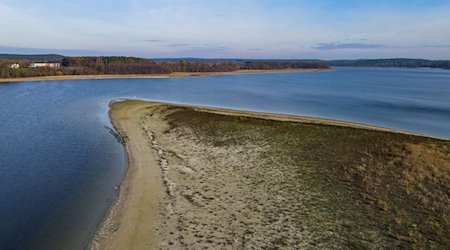 Eine Landspitze ragt weit in den Großen Seddiner See im Landkreis Potsdam-Mittelmark hinein und lässt deutlich den niedrigen Wasserstand des Sees erkennen (Luftaufnahme mit einer Drohne). / Foto: Patrick Pleul/dpa-Zentralbild/dpa/Archivbild