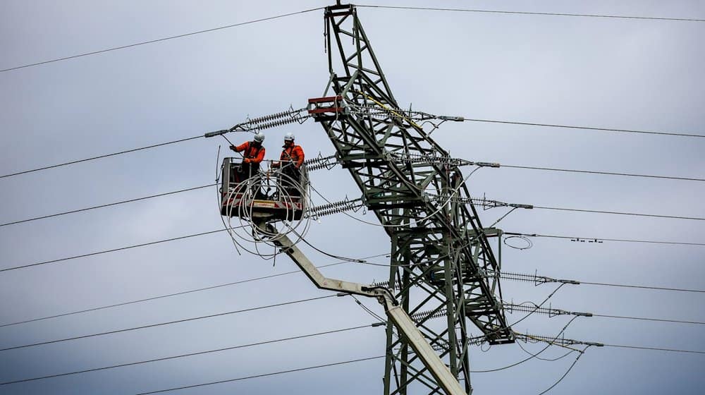 Monteure erneuern eine 110 KV Hochspannungsleitung des Stromnetzbetreibers Mitnetz. / Foto: Jan Woitas/dpa