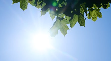 Schon am frühen Morgen scheint die Sonne von einem nahezu wolkenlosen Himmel. / Foto: Annette Riedl/dpa