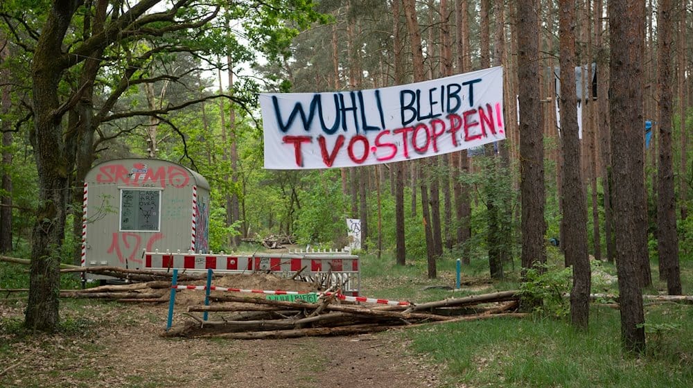 «Wuhli bleibt» steht auf einem Transparent an einem Waldstück in der Wuhlheide. / Foto: Paul Zinken/dpa