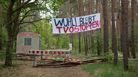«Wuhli bleibt» steht auf einem Transparent an einem Waldstück in der Wuhlheide. / Foto: Paul Zinken/dpa