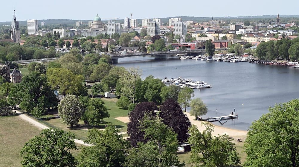 Blick vom Flatowturm über den Park Babelsberg. / Foto: Bernd Settnik/dpa/Archiv