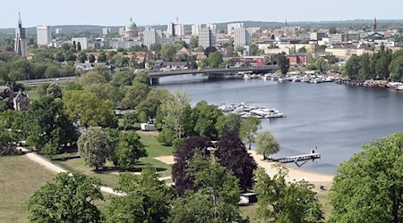 Blick vom Flatowturm über den Park Babelsberg. / Foto: Bernd Settnik/dpa/Archiv