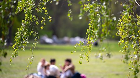 Junge Menschen sitzen beim sonnigen Wetter auf dem Rasen im Tiergarten. / Foto: Monika Skolimowska/dpa