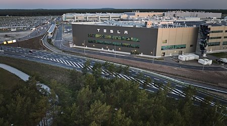 Blick am frühen Morgen auf ein kleines Waldstück im Vordergrund und dem Tesla-Werk im Hintergrund. / Foto: Joerg Carstensen/dpa