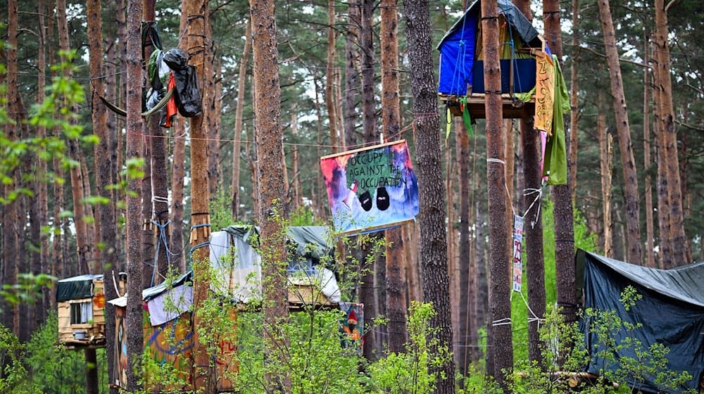 Aktivisten der Initiative «Tesla stoppen» haben in einem Wald bei Fangschleuse nahe dem Werk der Tesla-Gigafactory Baumhäuser gebaut. / Foto: Soeren Stache/dpa