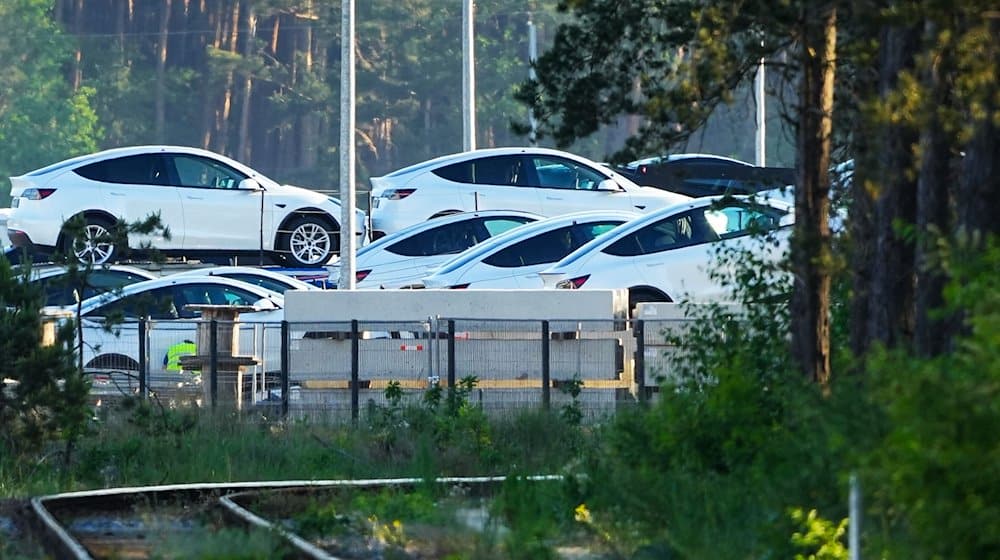 SPD-Bundestagsabgeordneter verteidigt Tesla-Erweiterung in Grünheide