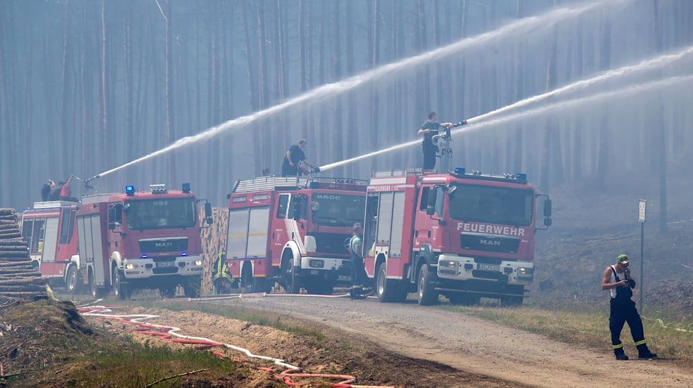 Feuerwehrleute löschen einen großflächigen Waldbrand. / Foto: Jens Büttner/zb/dpa/Symbolbild