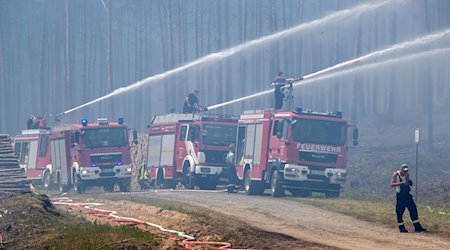Feuerwehrleute löschen einen großflächigen Waldbrand. / Foto: Jens Büttner/zb/dpa/Symbolbild