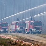 Feuerwehrleute löschen einen großflächigen Waldbrand. / Foto: Jens Büttner/zb/dpa/Symbolbild