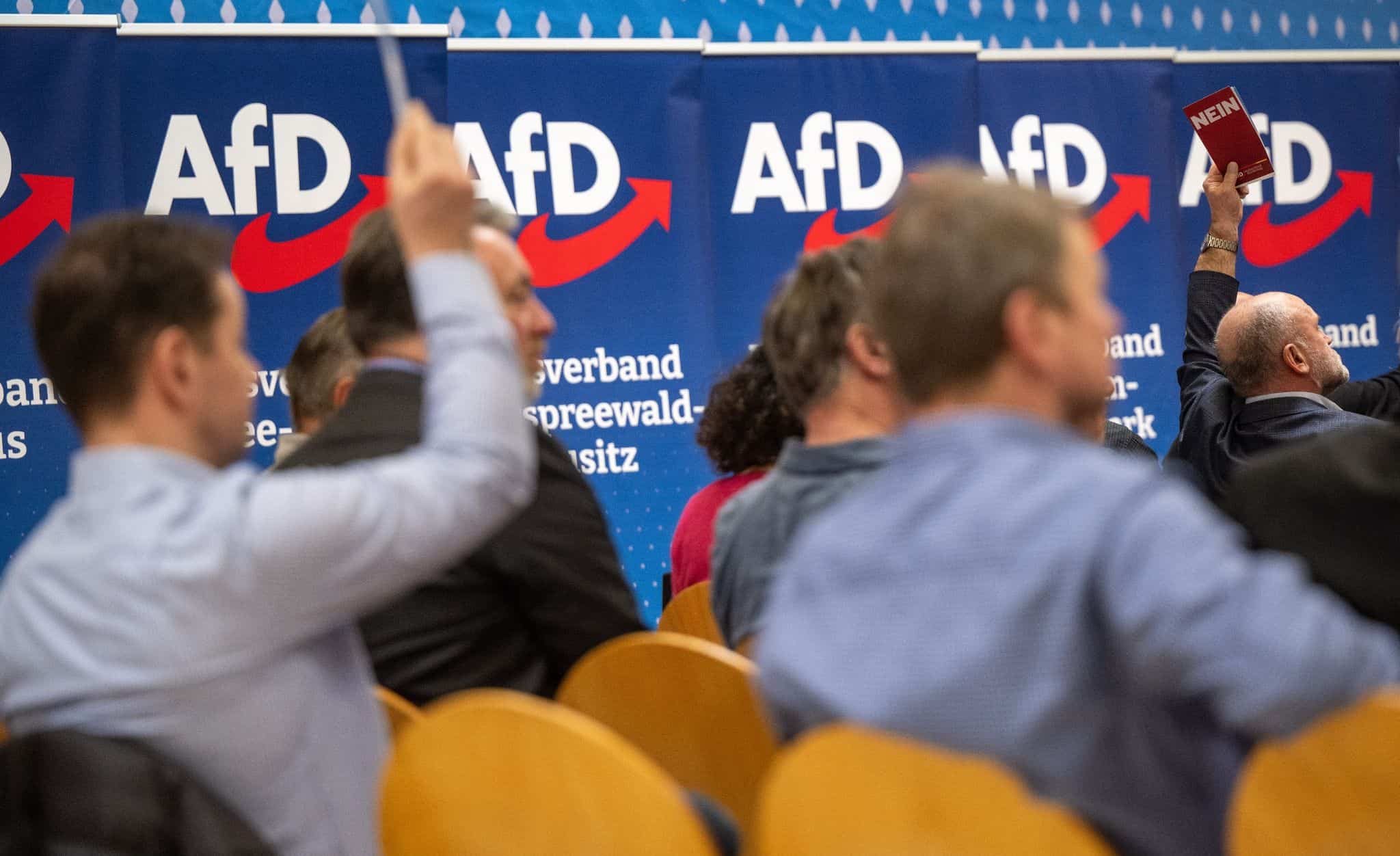 AfD-Politiker mit Rechtsextremen - AfD schließt sie aus