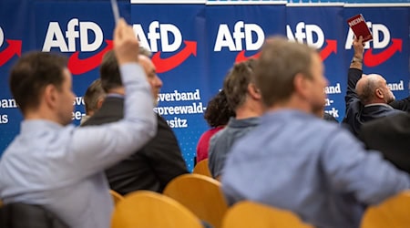 Teilnehmer des Landesparteitags AfD Brandenburg. / Foto: Monika Skolimowska/dpa