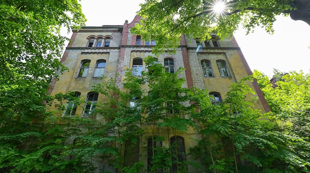 Das Gelände einer ehemaligen Kaserne auf der Oderinsel in Küstrin-Kietz. / Foto: Patrick Pleul/dpa