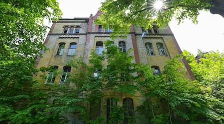 Das Gelände einer ehemaligen Kaserne auf der Oderinsel in Küstrin-Kietz. / Foto: Patrick Pleul/dpa