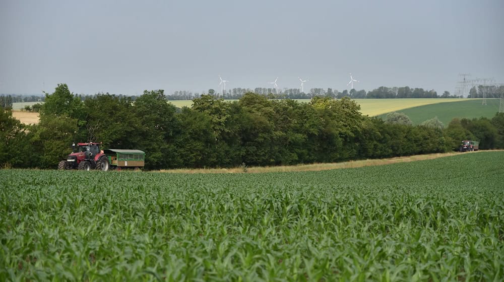 Zwei Traktoren fahren über einen Feldweg in der Nähe eines Feldes. / Foto: Simon Kremer/dpa