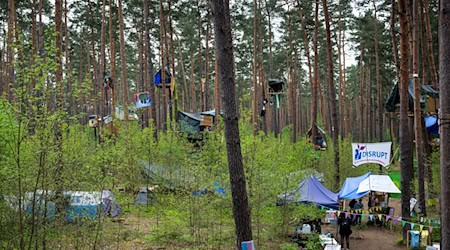 Aktivisten der Initiative «Tesla stoppen» haben in einem Wald bei Fangschleuse nahe dem Werk der Tesla-Gigafactory Berlin-Brandenburg Baumhäuser gebaut. / Foto: Soeren Stache/dpa