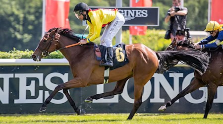 Jockey Adrie de Vries siegt auf Daring Light vom Gestüt Auenquelle beim Preis von Birkenstein Stutenrennen. / Foto: Andreas Gora/dpa/Archivbild