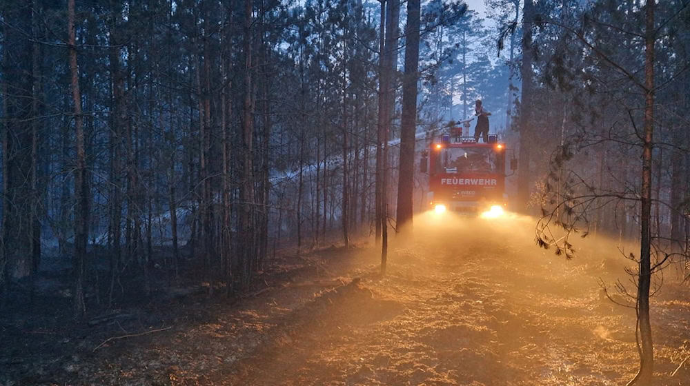 Die Feuerwehr bei Löscharbeiten in Joachimsthal bei Barnim. / Foto: Julian Stähle/tv7news.de/dpa/Archivbild