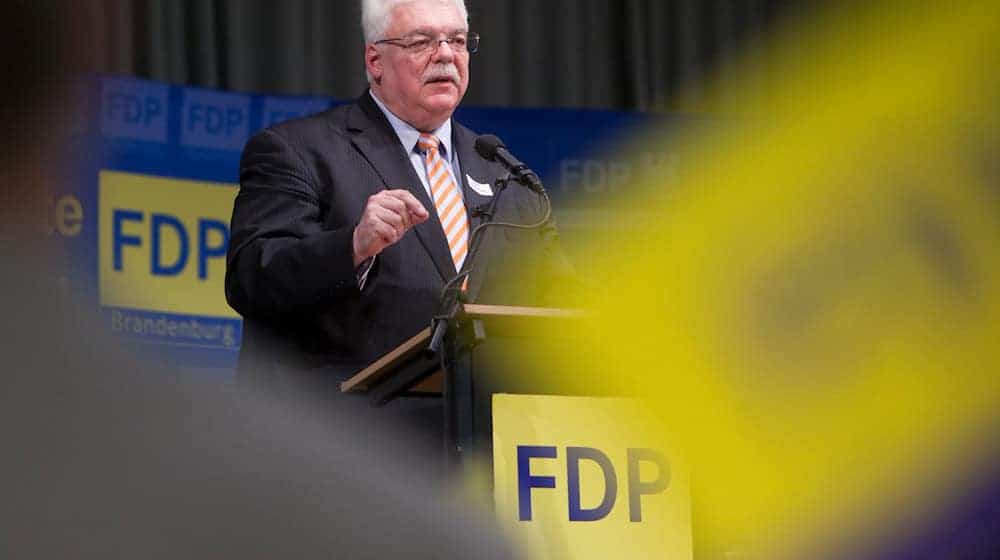 FDP-Politiker Heinz Lanfermann hält eine Rede. / Foto: Patrick Pleul/dpa/Archivbild