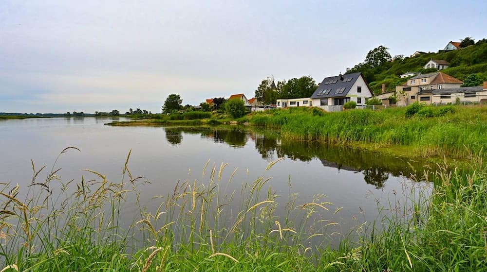 Der deutsch-polnische Grenzfluss Oder. / Foto: Patrick Pleul/dpa