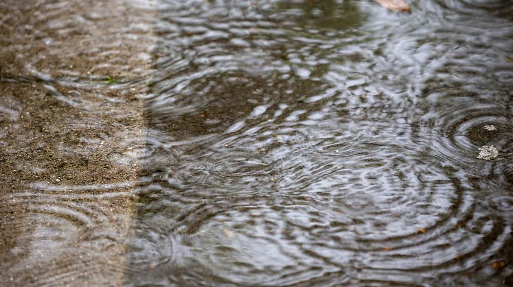 Regentropfen sammeln sich in einer Wasserpfütze. / Foto: Thomas Banneyer/dpa/Symbolbild