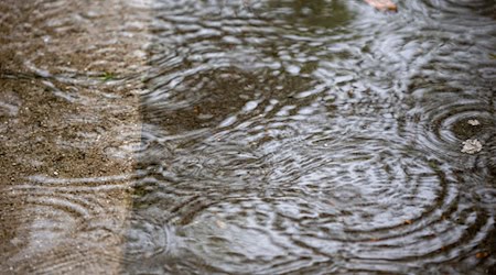 Regentropfen sammeln sich in einer Wasserpfütze. / Foto: Thomas Banneyer/dpa/Symbolbild