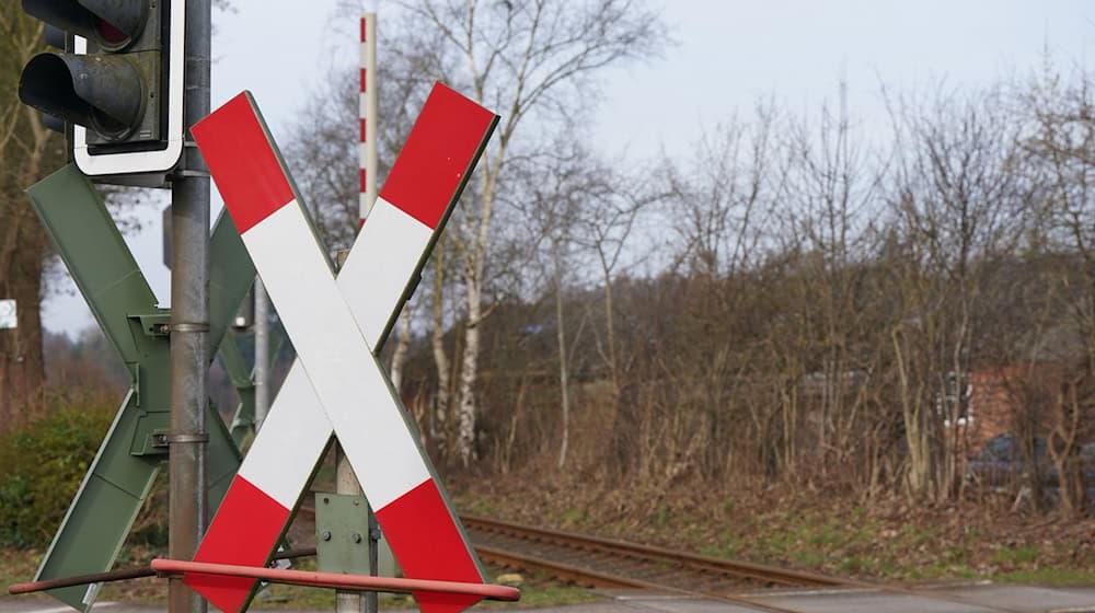 Blick auf einen Bahnübergang mit Andreaskreuzen, Ampeln und den Bahngleisen. / Foto: dpa