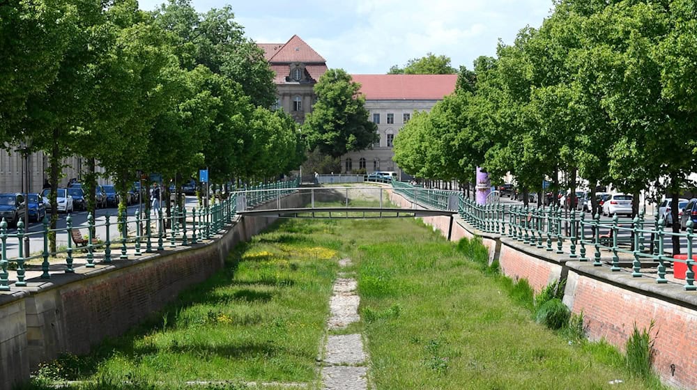 Der Boden des historischen Stadtkanals ist mit Kopfsteinpflaster bedeckt und mit Gras bewachsen. / Foto: Oliwia Nowakowska/dpa-Zentralbild/dpa