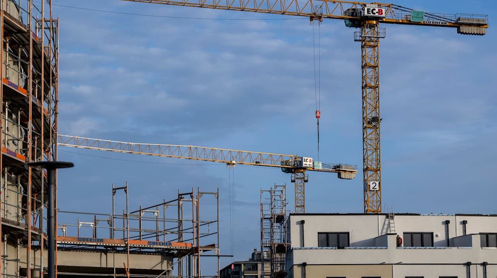 Kräne stehen auf einer Baustelle. / Foto: Monika Skolimowska/dpa/Symbolbild