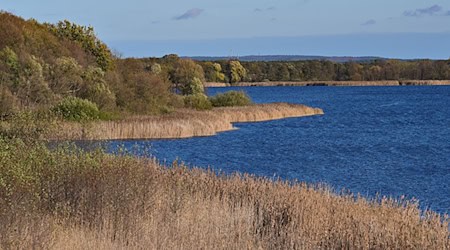 Blick von einem Aussichtsturm auf die Landschaft an der Groß Schauener Seenkette. / Foto: Patrick Pleul/dpa