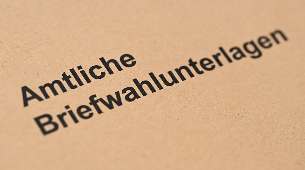 Simulierte EU-Wahl für Jugendliche in Brandenburg: AfD vorn