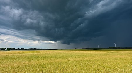 Eine Gewitterzelle mit dunklen Wolken zieht über die Landschaft im Landkreis Märkisch-Oderland. / Foto: Patrick Pleul/dpa/Symbolbild