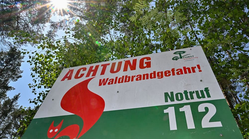 Ein Schild vom Landesbetrieb Forst Brandenburg steht im Wald. / Foto: Patrick Pleul/dpa