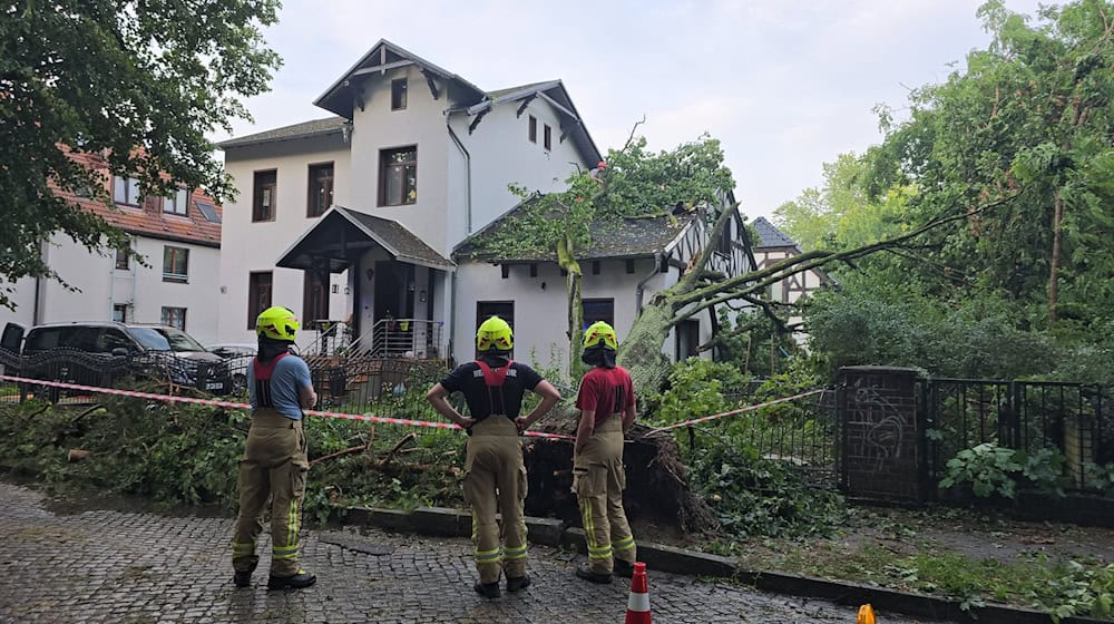 Einsatzkräfte schauen auf Schäden an einem Haus, nachdem ein Baum bei einem Unwetter in Zeuthen auf das Gebäude gefallen war. / Foto: Cevin Dettlaff/dpa