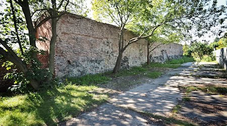 Mit 280.000 Euro Bundesmitteln soll der Gedenkort für das ehemalige KZ Oranienburg neugestaltet werden. (Archivbild) / Foto: Soeren Stache/dpa-Zentralbild/dpa