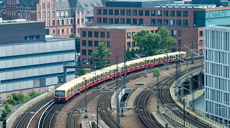 Statt S-Bahn Ersatzverkehr mit Bussen: Auf der Stadtbahn wird in den kommenden Wochenenden gebaut. (Archivbild) / Foto: Soeren Stache/dpa