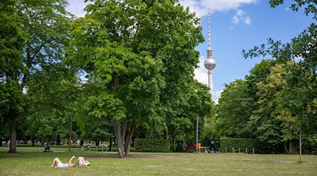 Berlin ist im bundesweiten Vergleich eine grüne Stadt - zeigt ein Ranking der Deutschen Umwelthilfe. (Archivfoto) / Foto: Monika Skolimowska/dpa