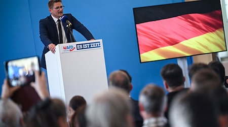 Attackiert die etablierten Parteien: Brandenburgs AfD-Chef René Springer. / Foto: Britta Pedersen/dpa