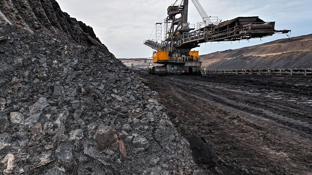 Klimaschützer dringen auf früheren Kohleausstieg (Archivbild). / Foto: Patrick Pleul/dpa